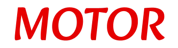 Motor Casino Logo
